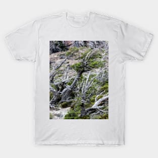 Windswept Woodland T-Shirt